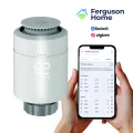 Ferguson-SmartHome-Glowica-foto01_1.jpg