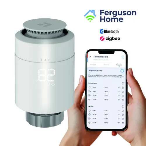 Ferguson-SmartHome-Glowica-foto01_1.jpg